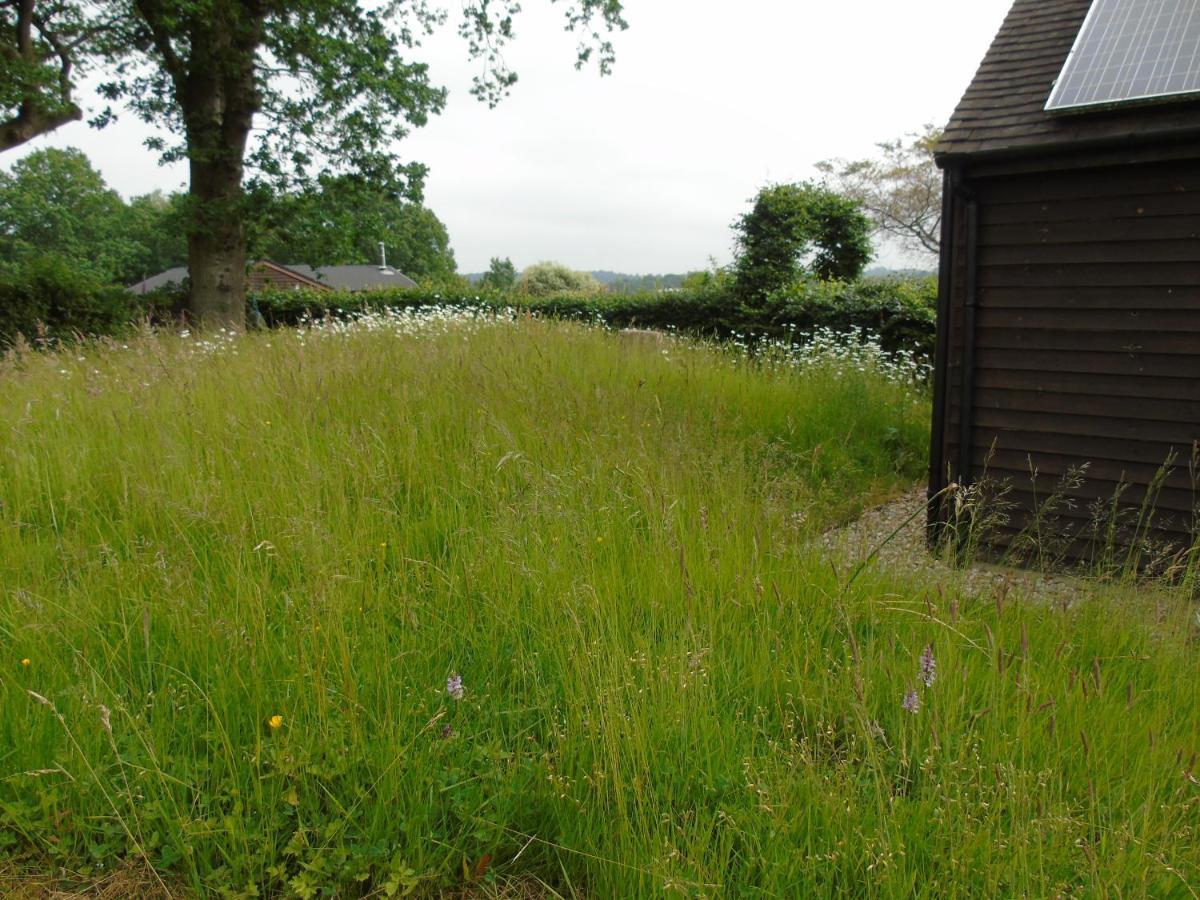 Bond'S Cottage Barn Royal Tunbridge Wells Esterno foto